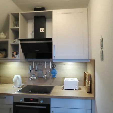 Apartment Leuchtturm Busumer Deichhausen